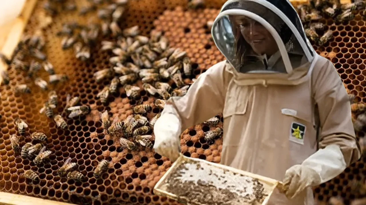 kate middleton’s royal hobby of beekeeping